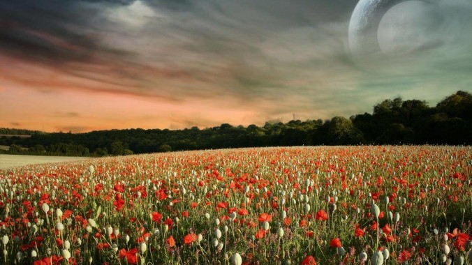 小米澎湃OS保留了多少安卓代码？